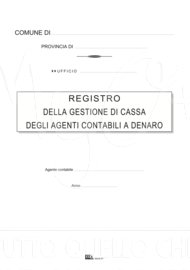GESTIONE DI CASSA DEGLI AGENTI CONTABILI A DENARO, 098209