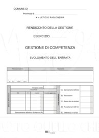 SVOLGIMENTO DELL'ENTRATA IN CONTO COMPETENZA - (CONF. DA 50 PZ.), 098232