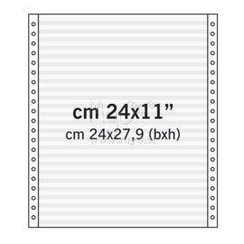 Moduli in Continuo, in Carta Meccanografica, 24x27,9 Cm, 24cm x 27,9mm (11")