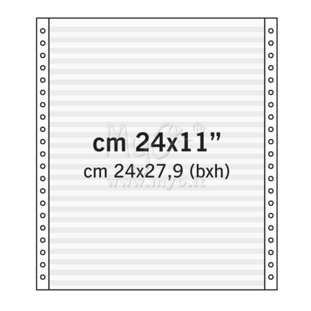 Moduli in Continuo, in Carta Meccanografica, 24x27,9 Cm
