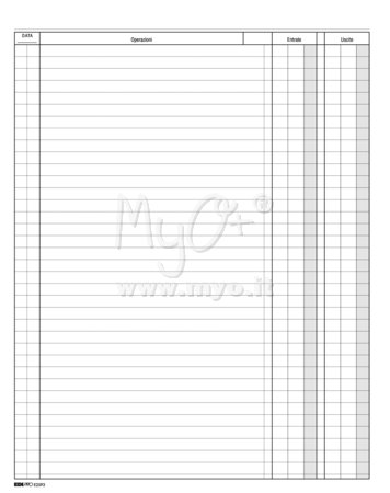 Libro Cassa Maxi, 24,5x31 Cm Chiuso, 100 Fogli